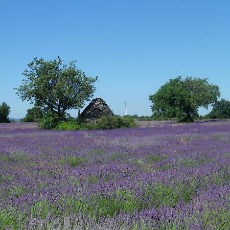 La mordorée La Motte-d'Aigues Exterior foto