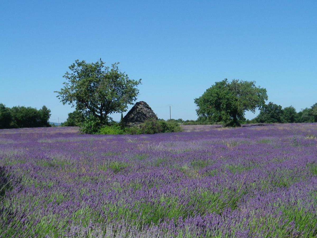 La mordorée La Motte-d'Aigues Exterior foto