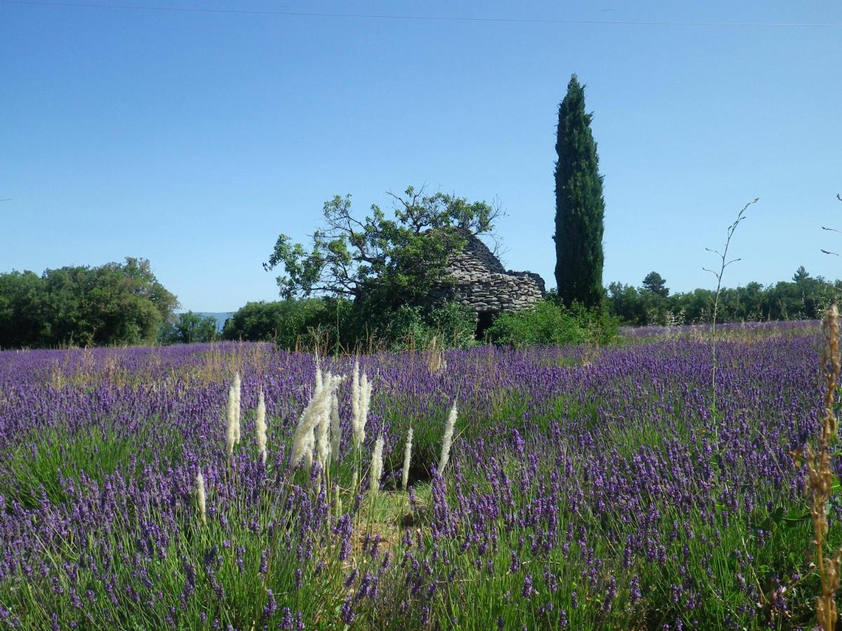 La mordorée La Motte-d'Aigues Exterior foto