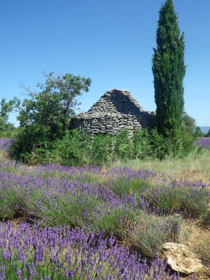 La mordorée La Motte-d'Aigues Exterior foto